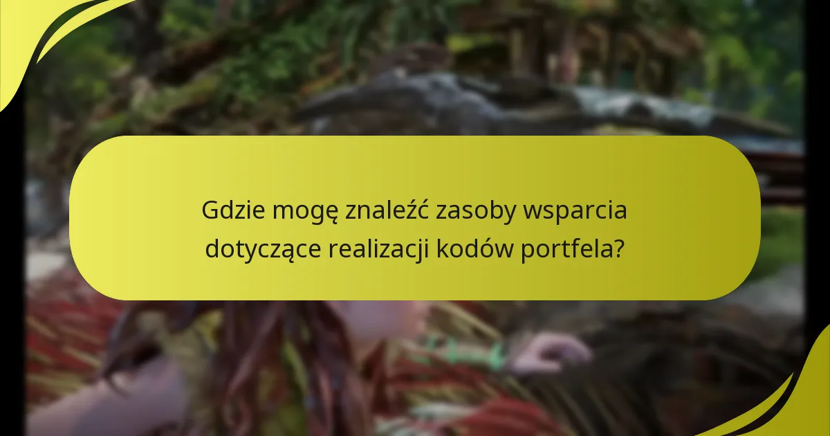 Co powinienem zrobić, jeśli napotkam problemy z realizacją kodu portfela?